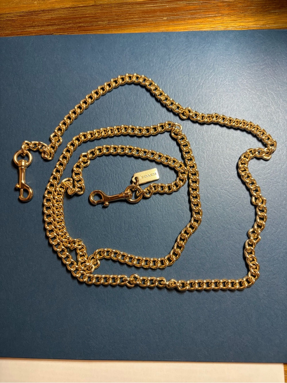 Coach Chain Strap